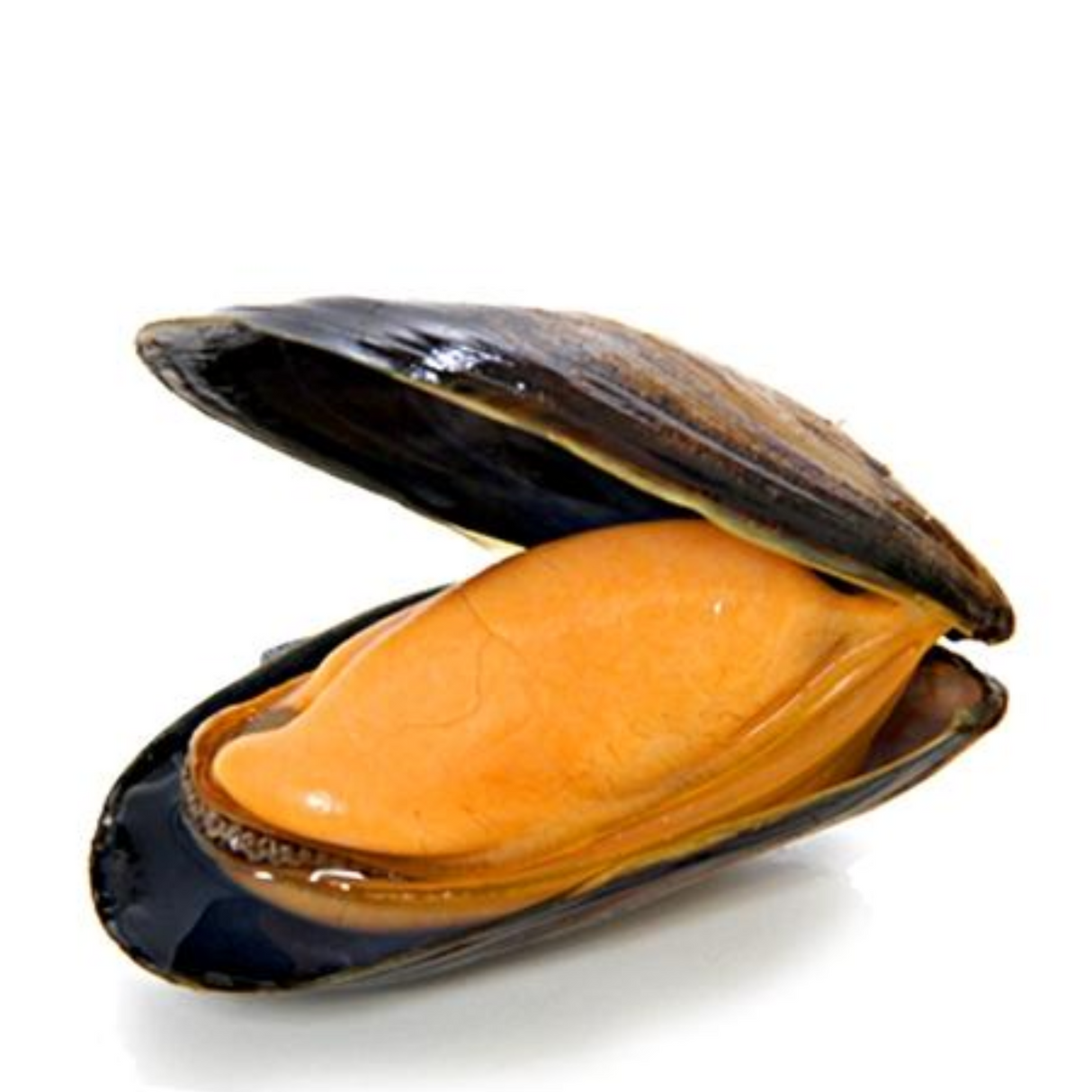 Choro Malton, 1 kilo