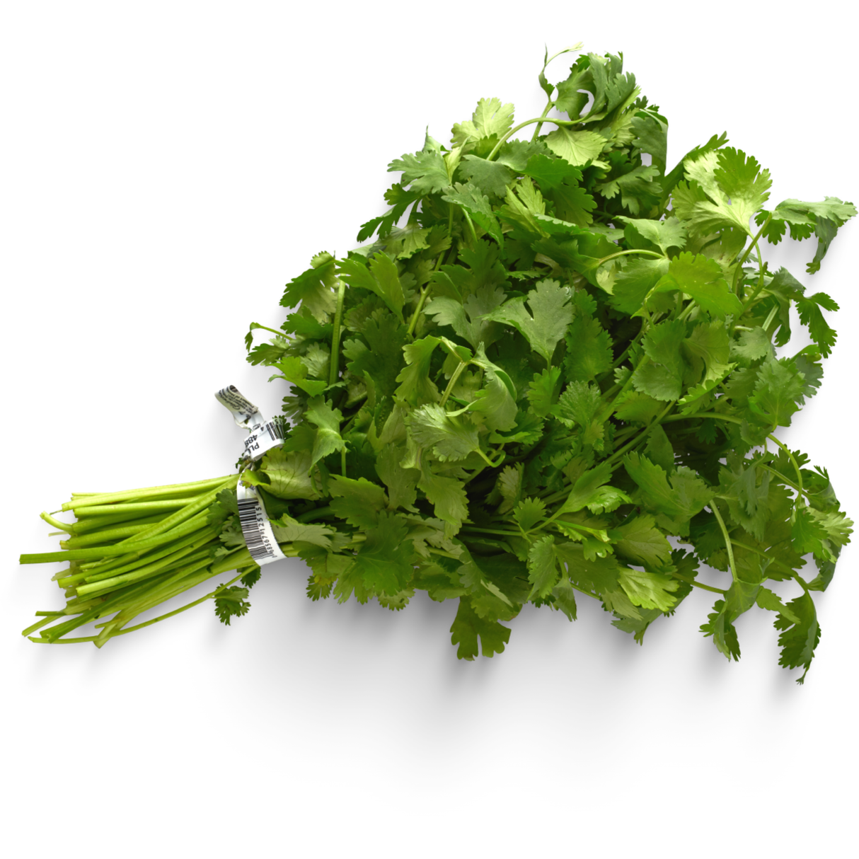 Cilantro, 120 gramos