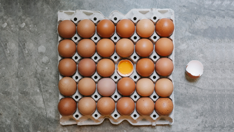 Huevos