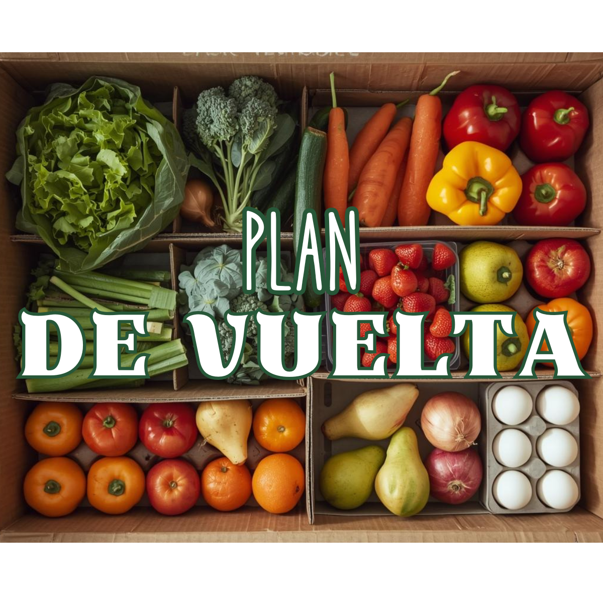 Plan de vuelta, 2-3 personas