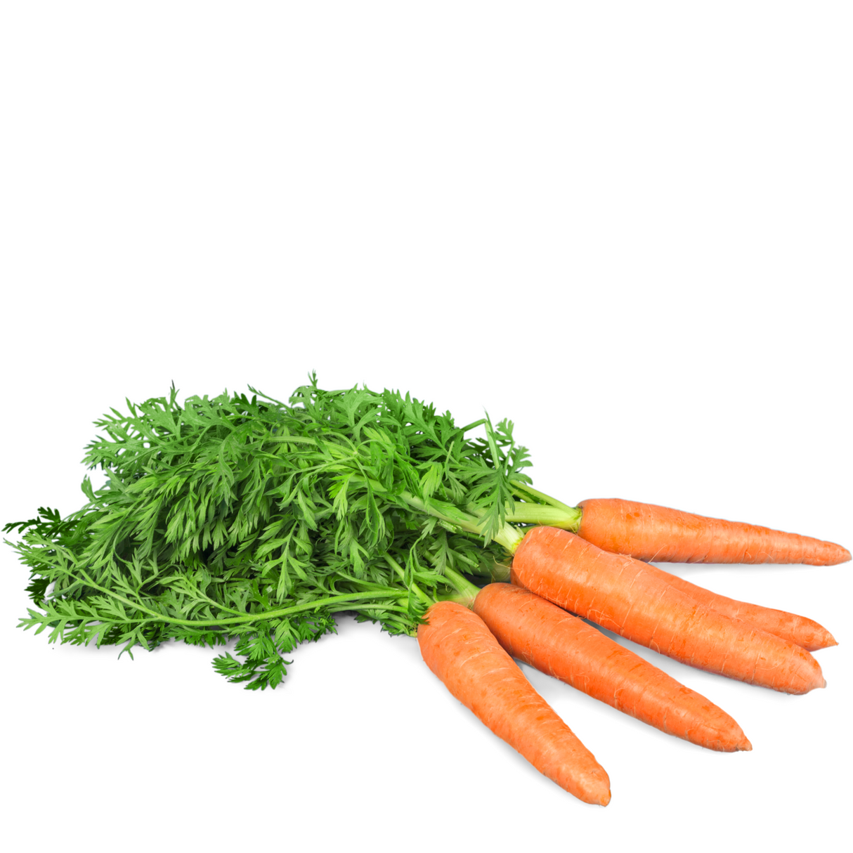 Zanahorias, 1 kilo