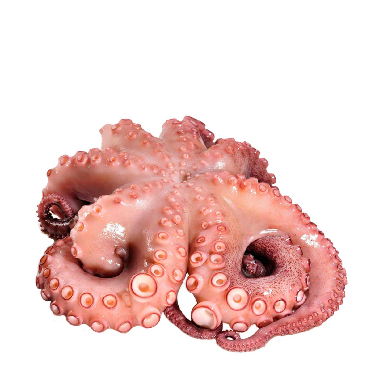 Pulpo, 2 kilos