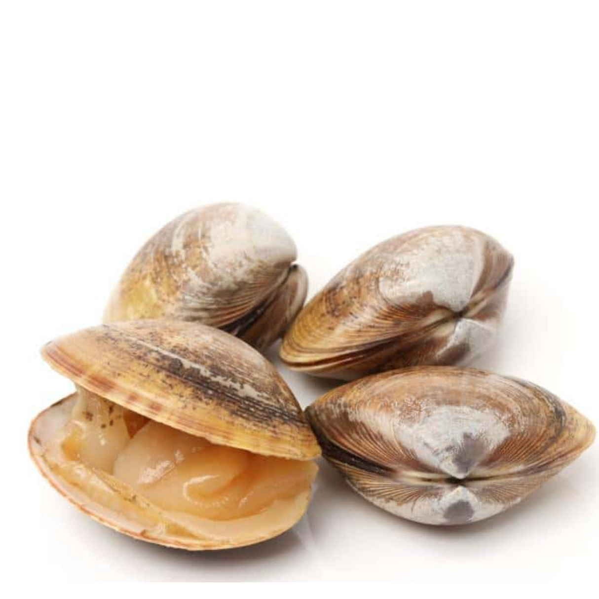 Almejas, 1 kilo