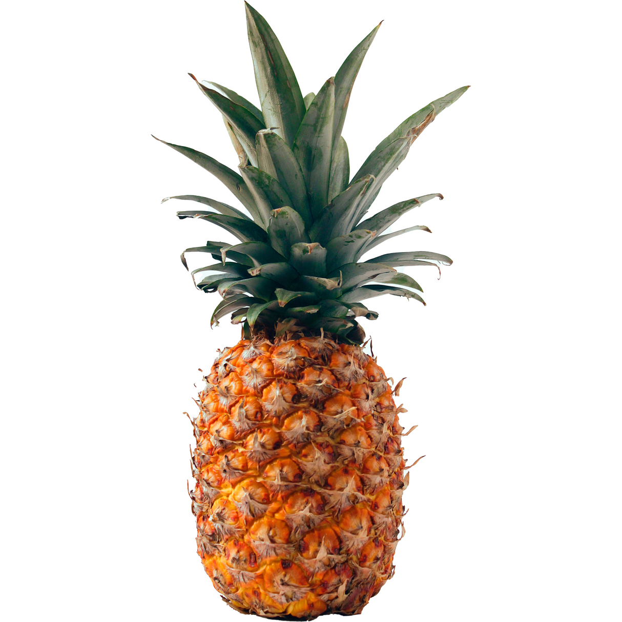 Piña, unidad